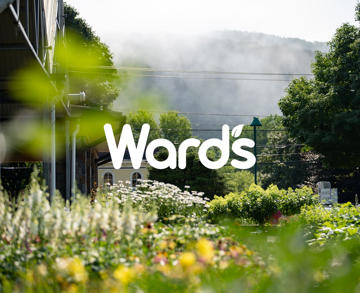 Ward’s Nursery