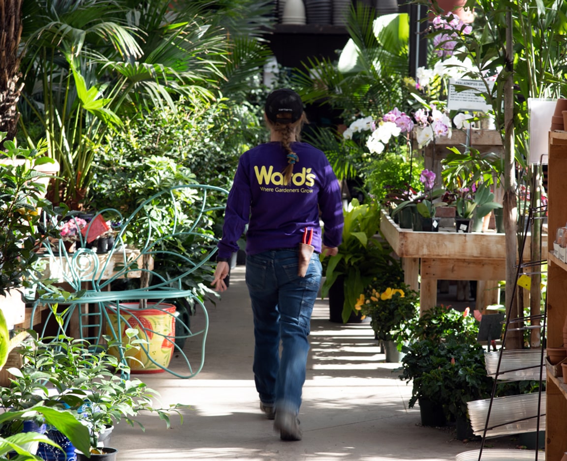 Eva Ward walking through the greenhouse at Ward's Nursery rebranding by Gemini Creative